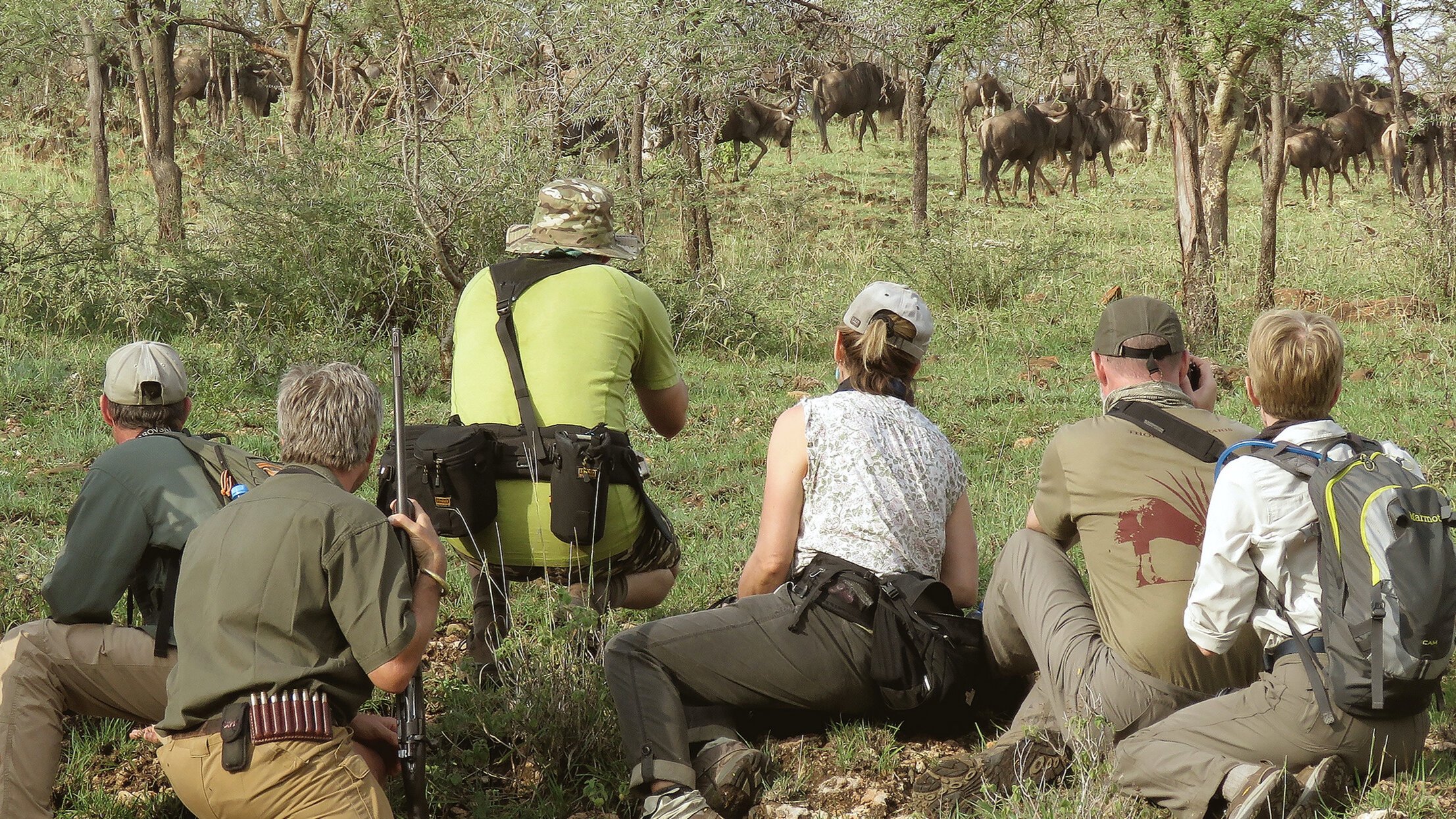 thornton-safaris-serengeti-walking-safari-buffalo-upclose.jpg