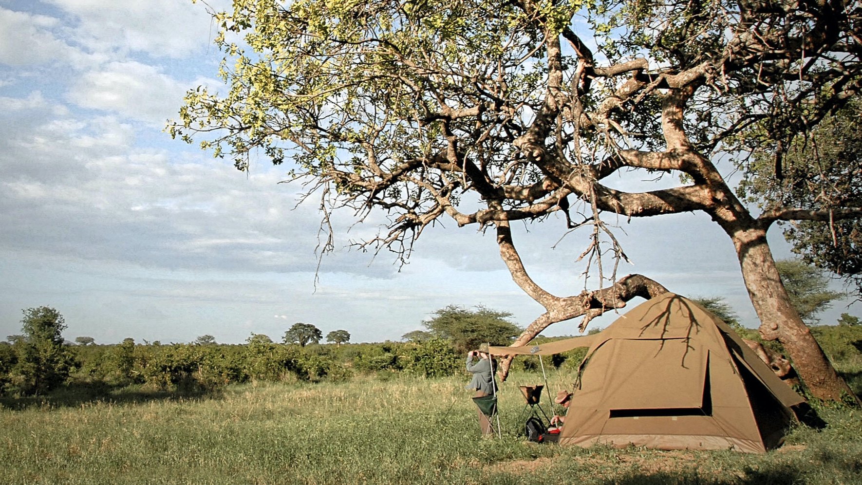 thornton-safaris-afternoon-at-camp.jpg