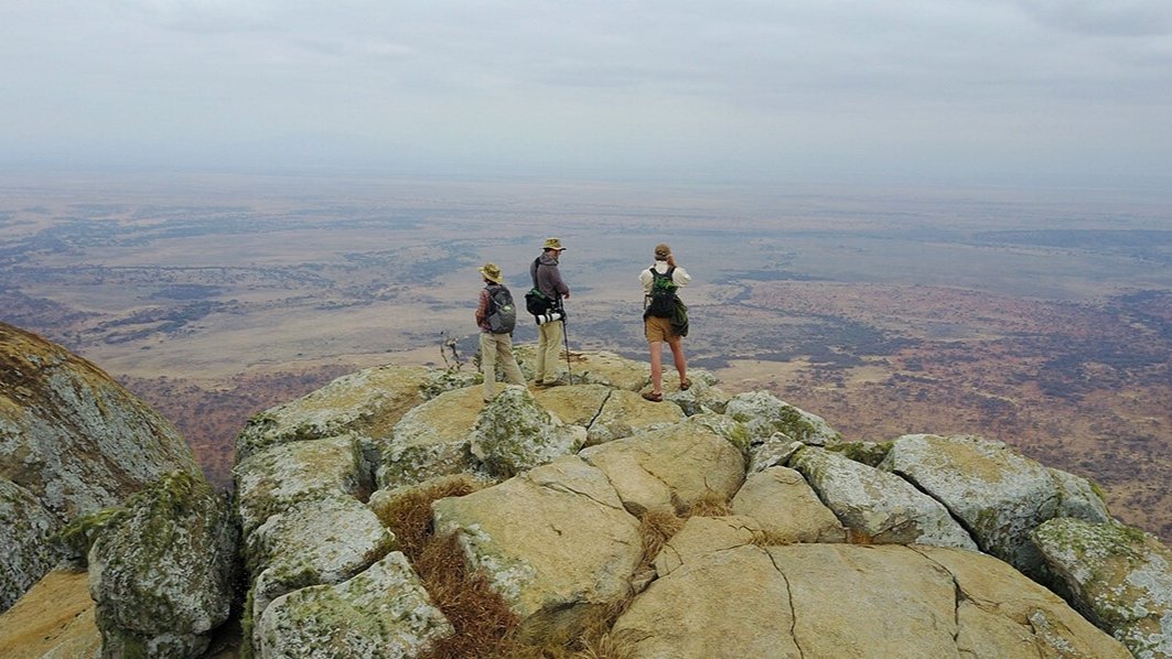 thornton-safaris-walking-safari-maasai-steppe.jpg