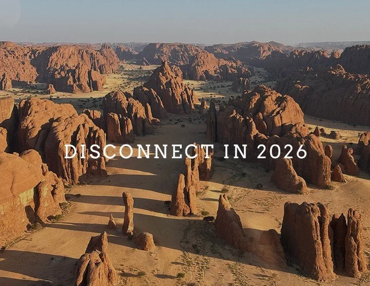 Come join us to escape the chaos of the world and disconnect in the African wilderness! 
Get inspired by our latest news from the bush and let's start planning your dream safari getaway. Visit the link in our bio to read more. 

https://mailchi.mp/th