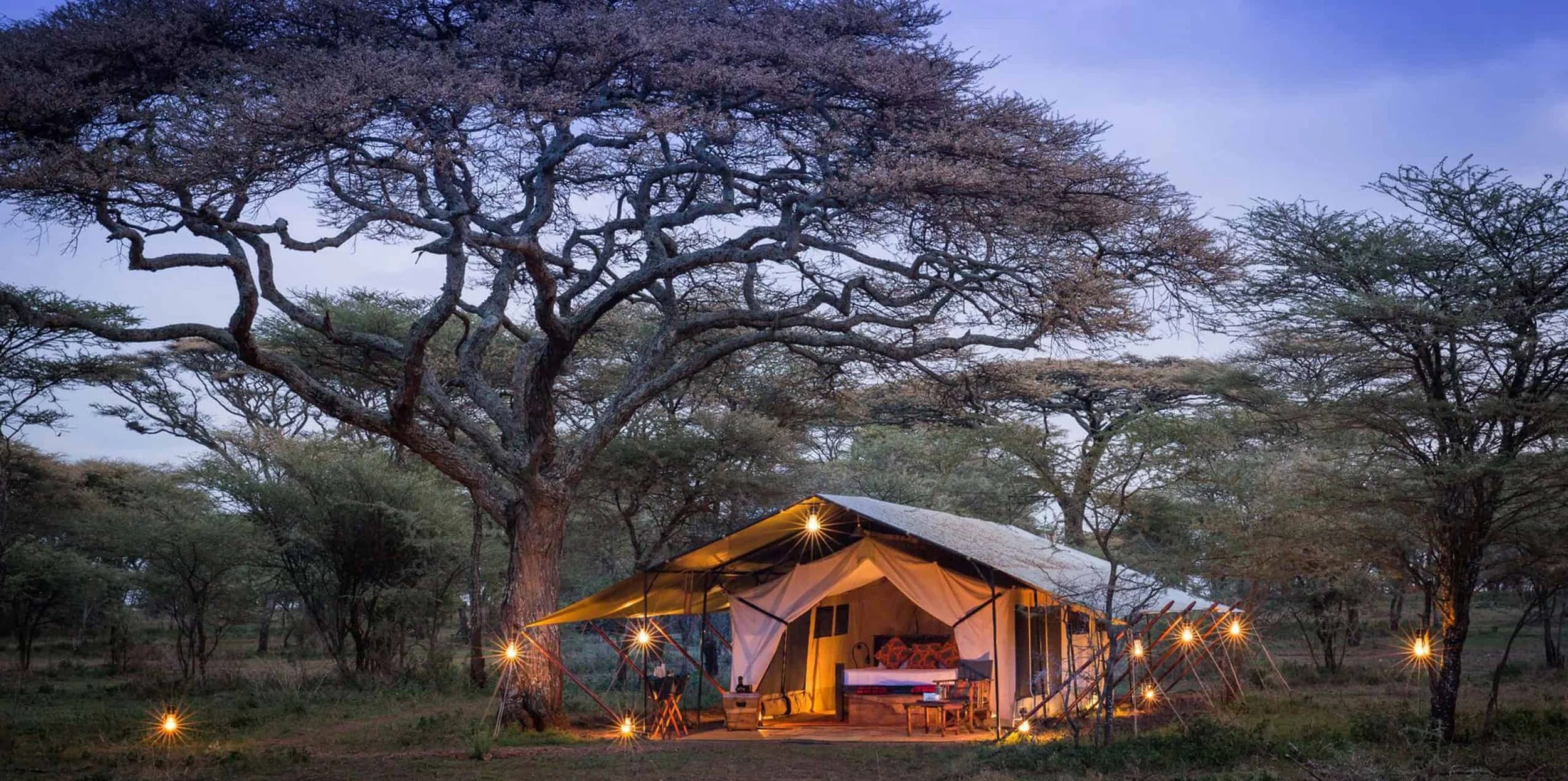 thornton-safaris-classic-tented-camp-7.jpg