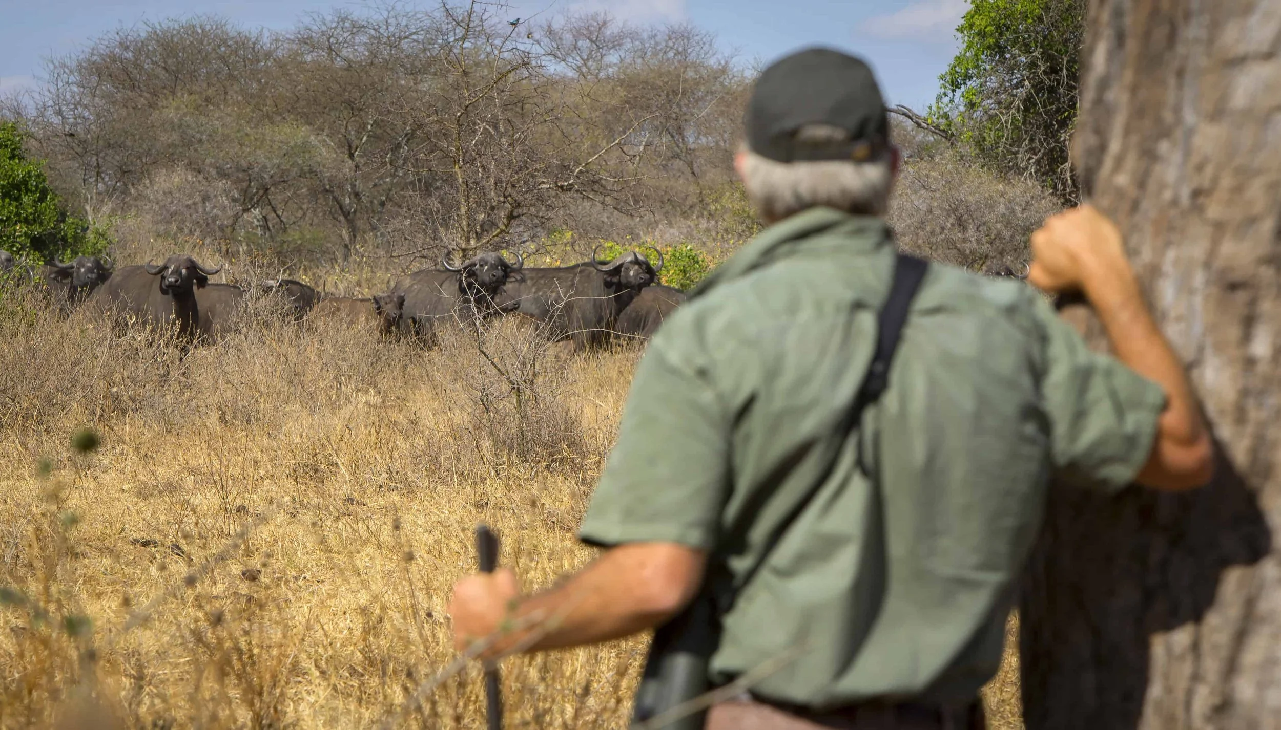 tanzania walking safari