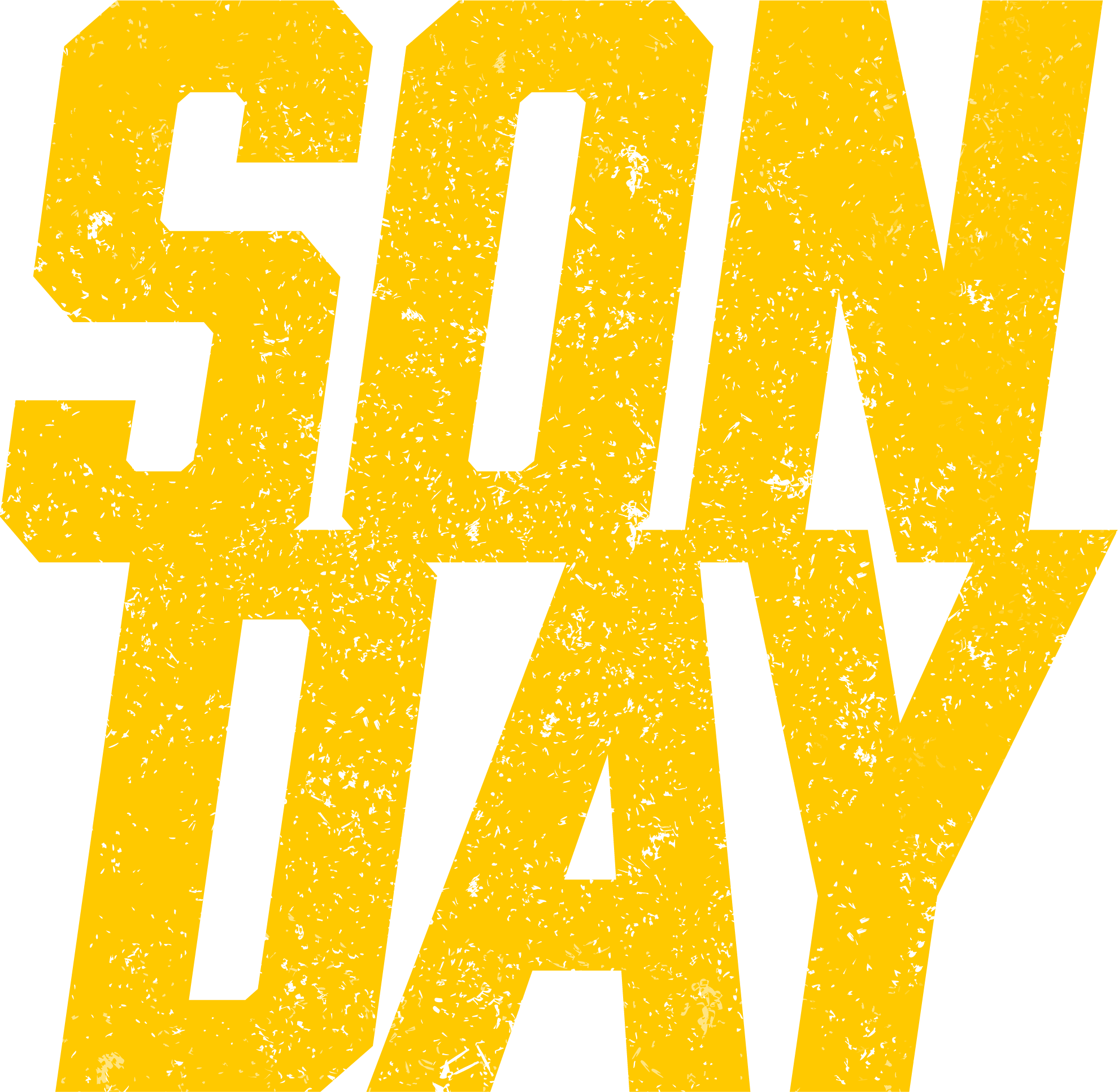 SNDY LOGO SOLO.png