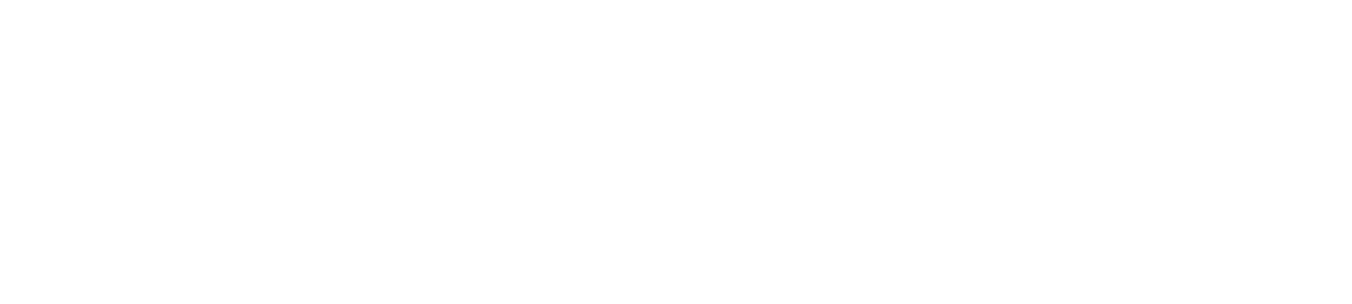 MISFIT GENIUS