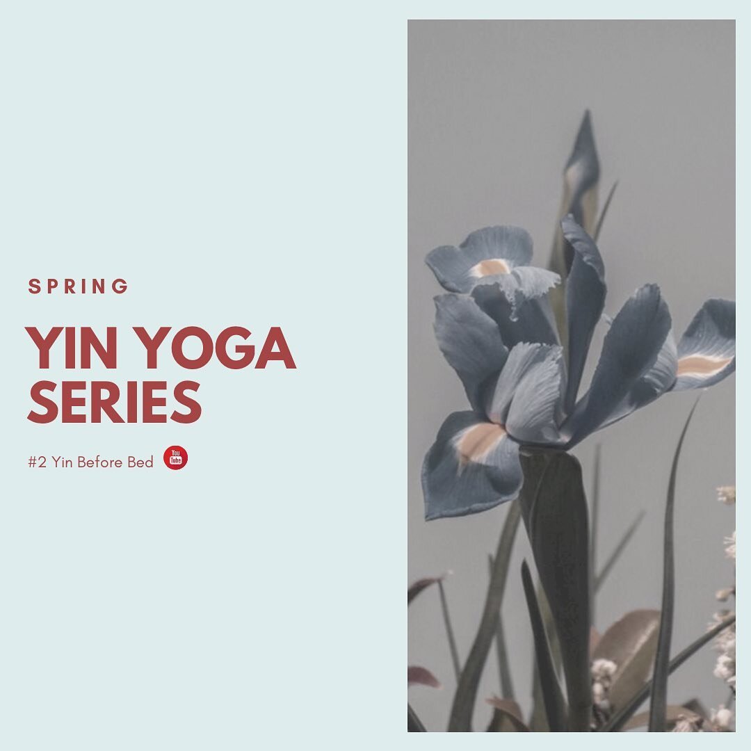 The second class in the Spring Series is:

✨Yin Before Bed 🌙⠀
⠀
⠀
⠀
Slow your body, quiet your mind and find your center. You&rsquo;ll finish this practice feeling calm and ready for a restful and restorative sleep 😴 ⠀
⠀
⠀
🌱Link in bio 🌱⠀
⠀
⠀
⠀
⠀