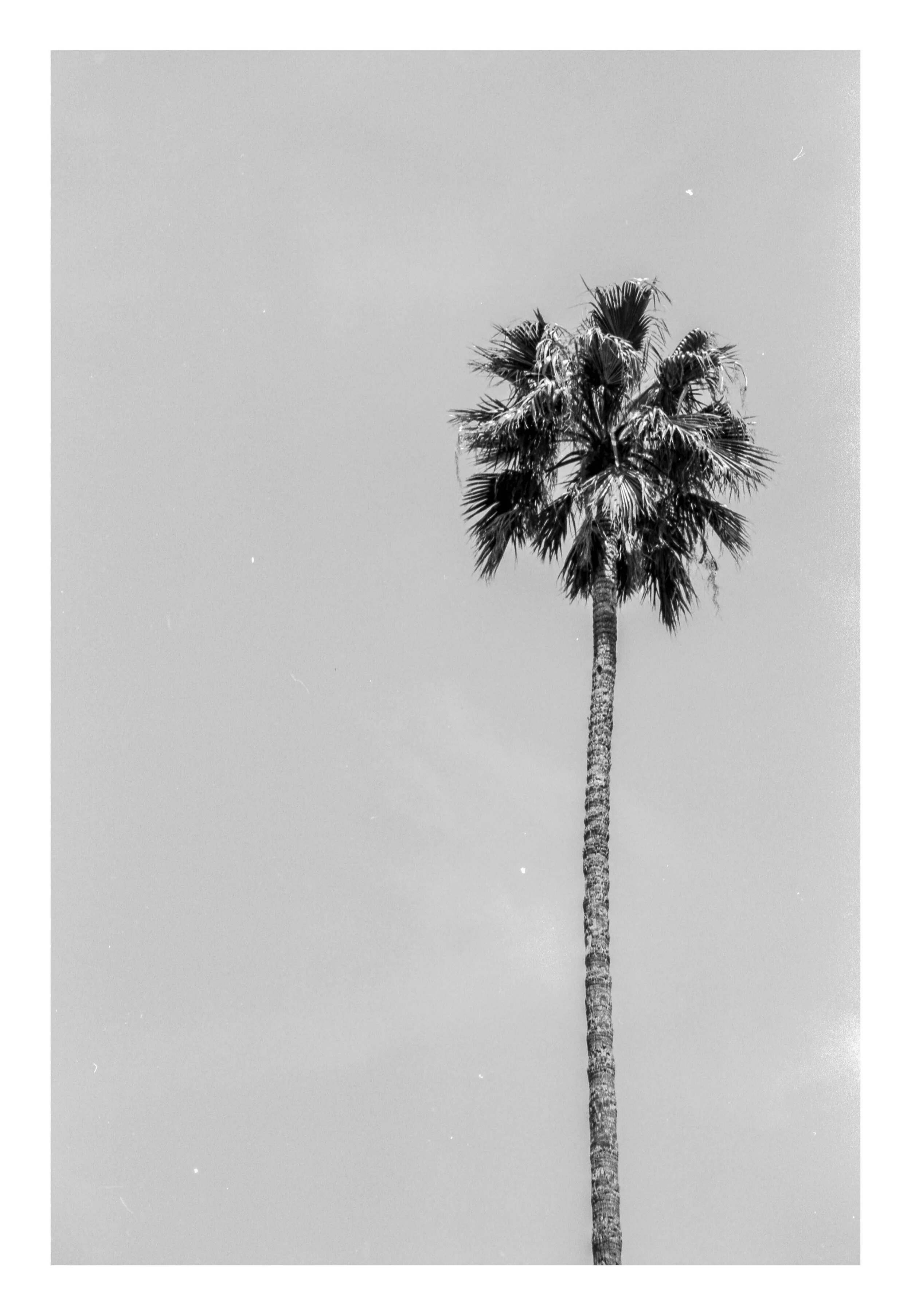 img756 15 WEB WITH BORDER.jpg