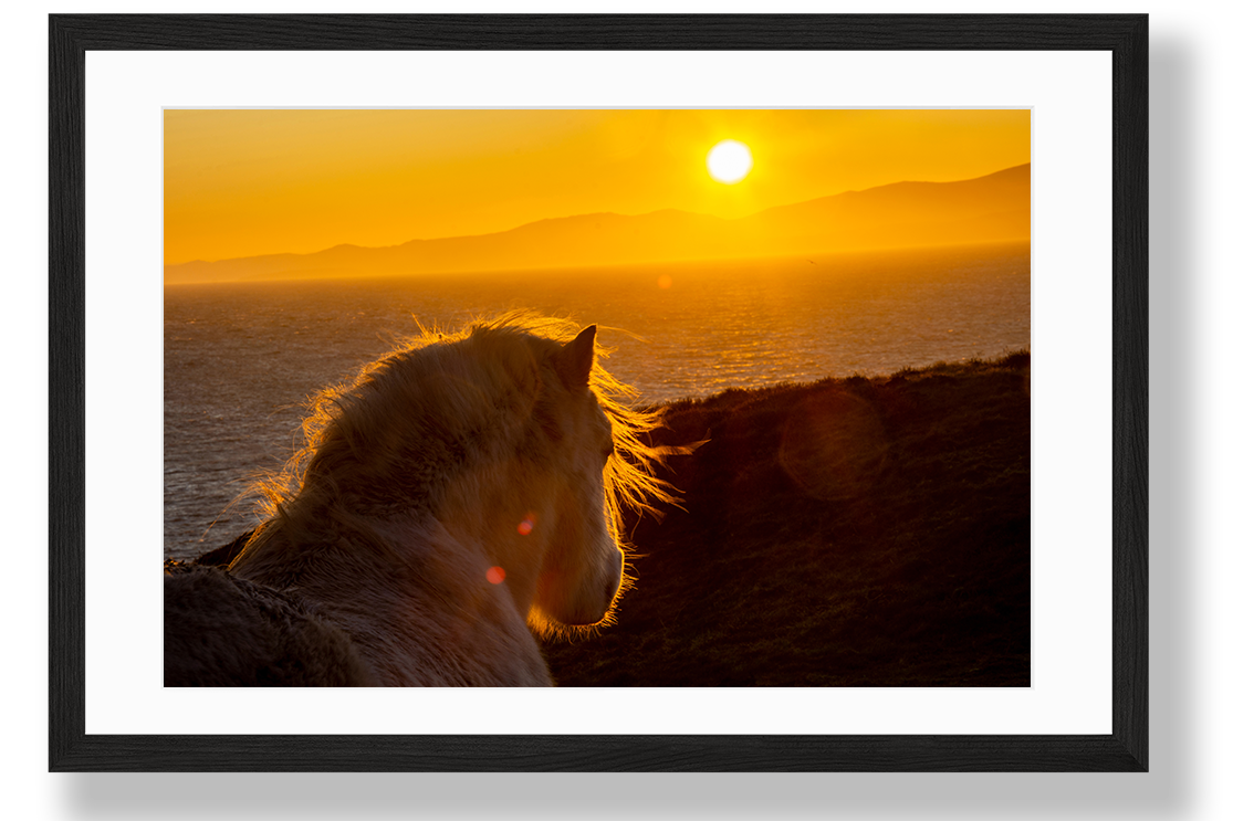 38 WAL_4649.jpg = Point Lynas Lighthouse, Chodiad Haul (Sunrise), Amlwch Cropped Max 24x36.png