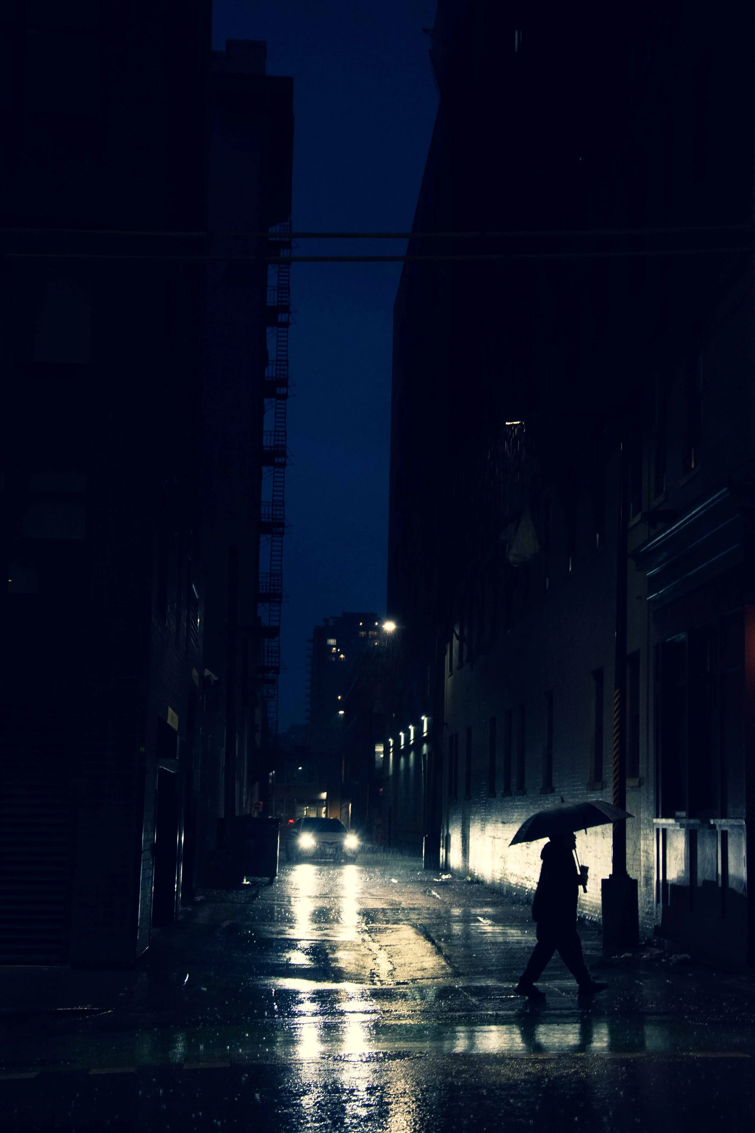 BIR_8357.jpg