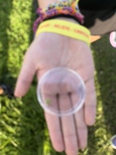 IMG_9087 Small.jpeg
