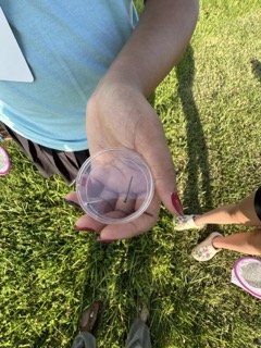 IMG_9090 Small.jpeg