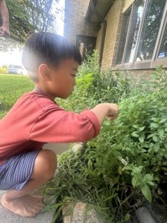 IMG_0241 Small.jpeg