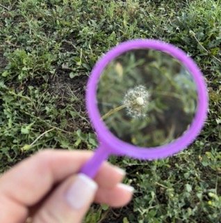 IMG_9303 Small.jpeg