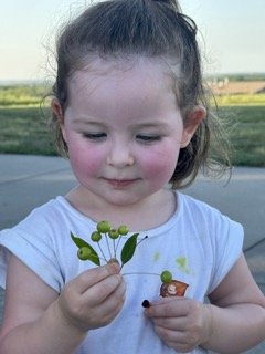 IMG_9559 Small.jpeg