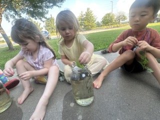 IMG_0235 2 Small.jpeg