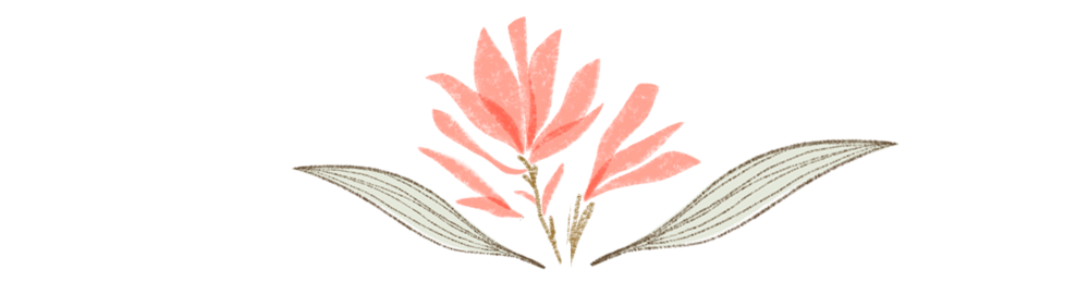 Sacred land at Hestia Magic near Mount Shasta healing retreat