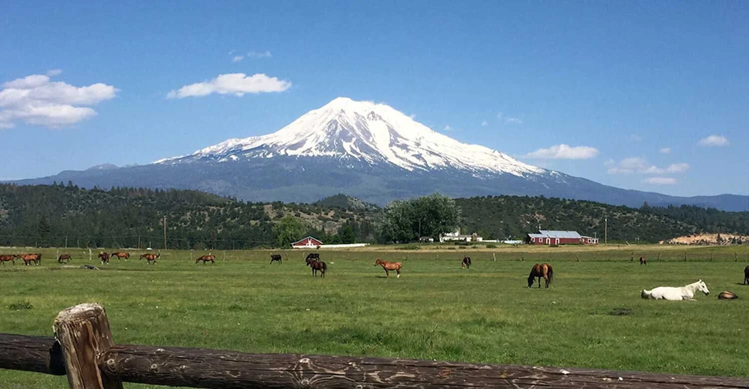 retreat-mount-shasta-mineral-springs04.jpg