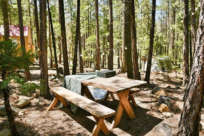 glamping-mount-shasta-mineral-springs-sacred-land_3016.jpg