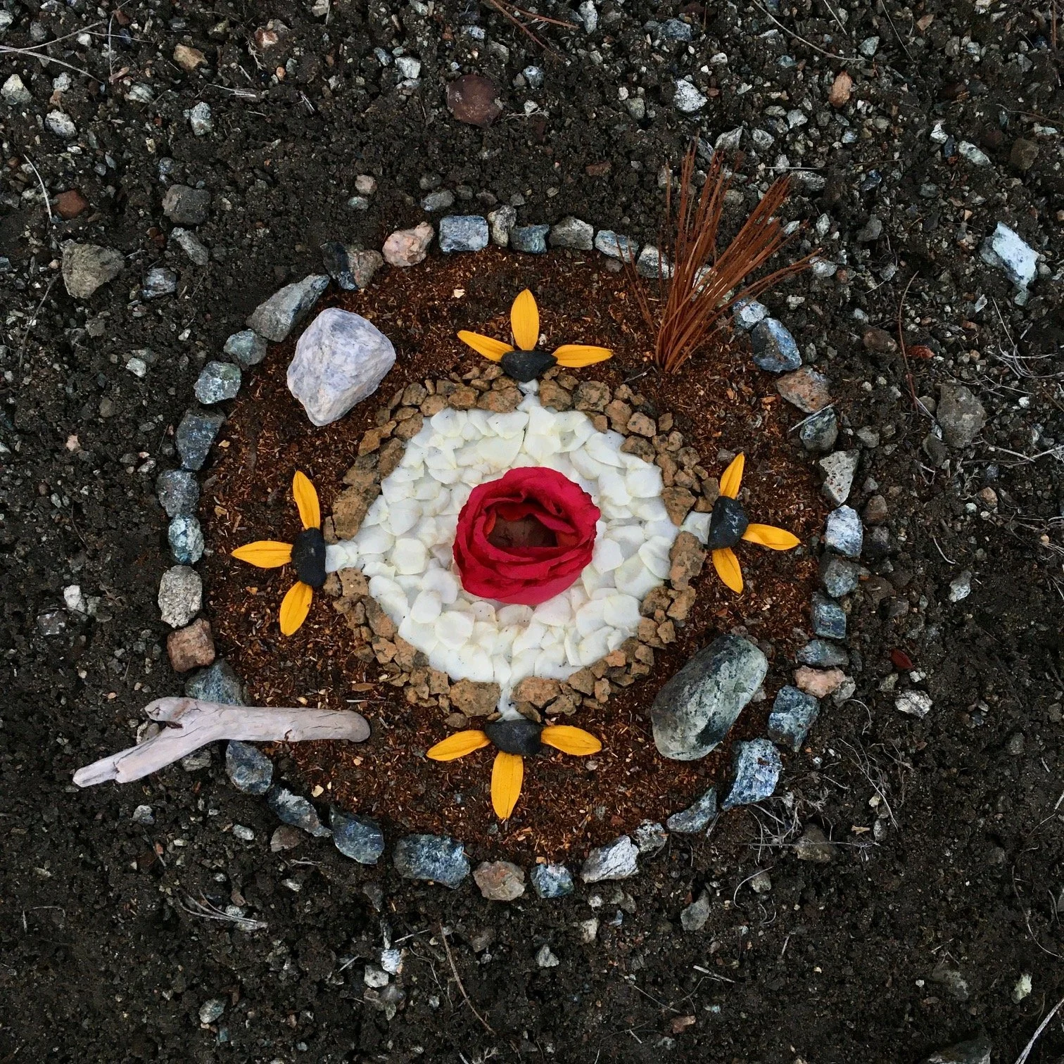 In Gratitude for Hestia Magic.