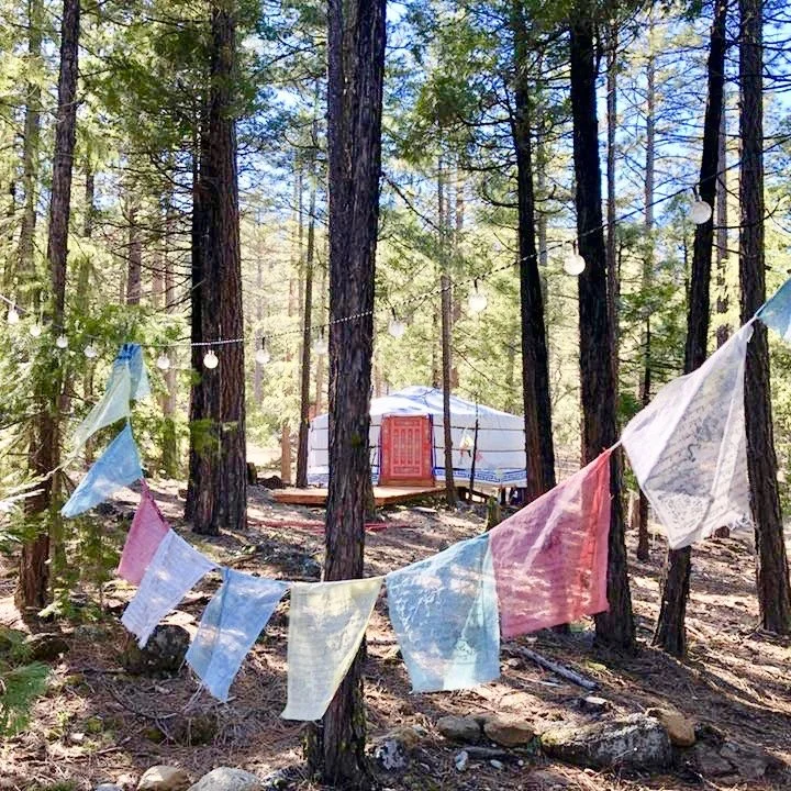 Mongolian yurt prayer flags.jpeg