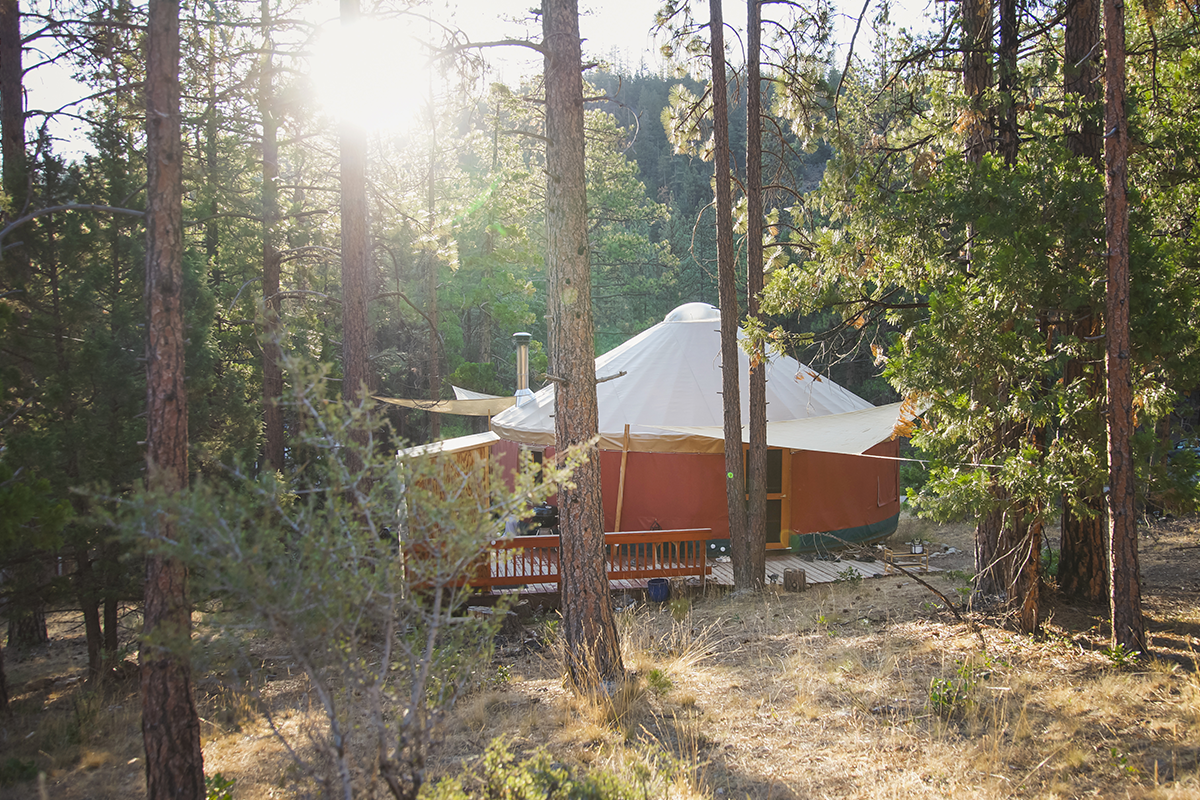 retreat-mount-shasta-mineral-springs-sacred-land_44719-1.jpg