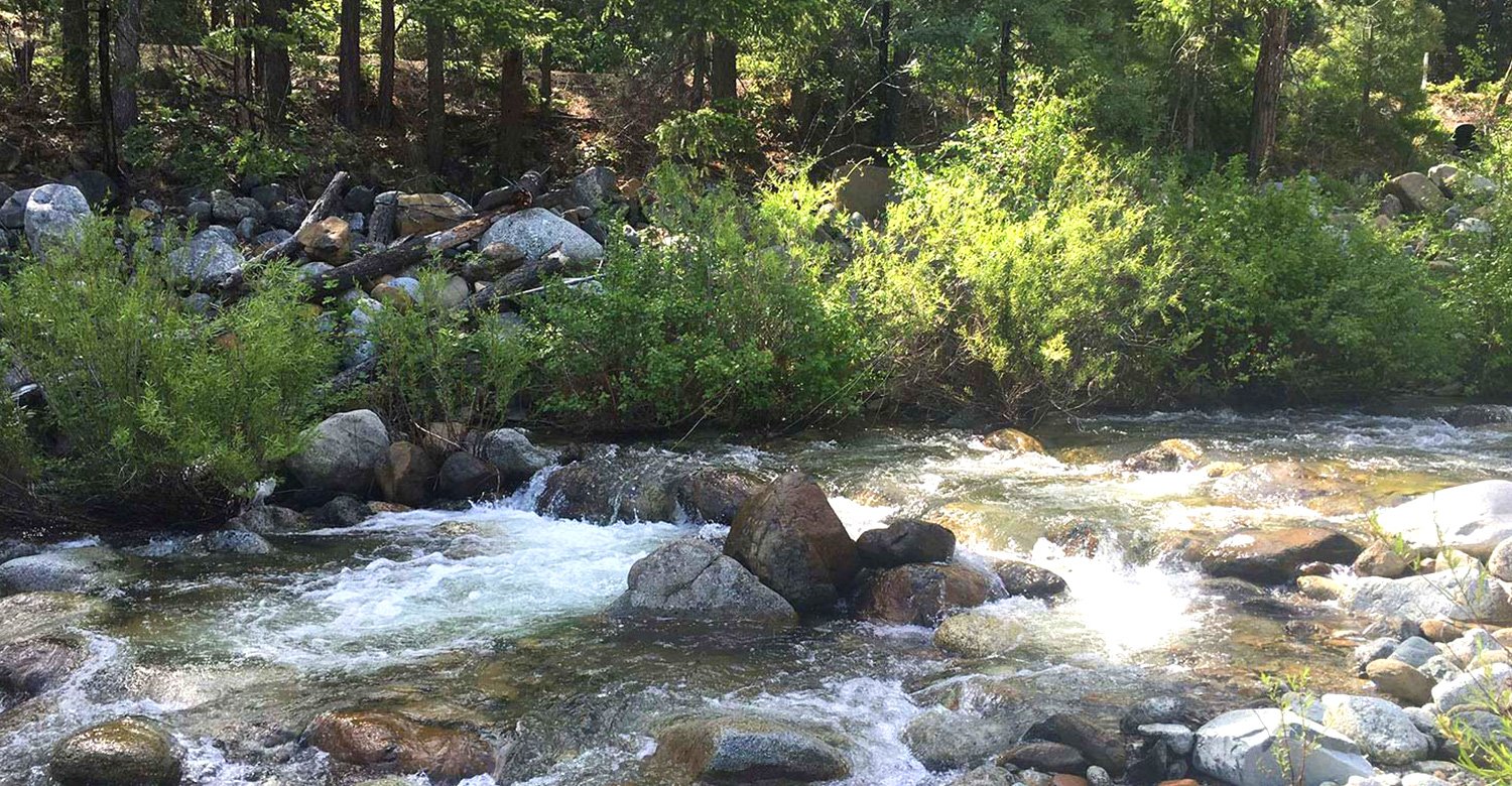 retreat-mount-shasta-mineral-springs288829.jpg