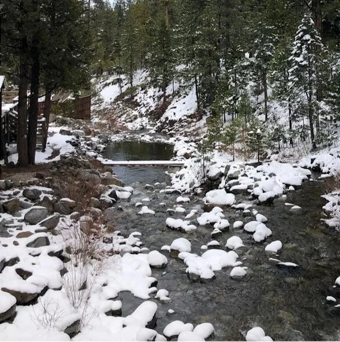  Healing creek flowing through snow at Hestia Magic's writers retreat sanctuary, Mount Shasta California nature immersion 