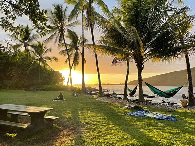 hawaiihammocktrees.jpg