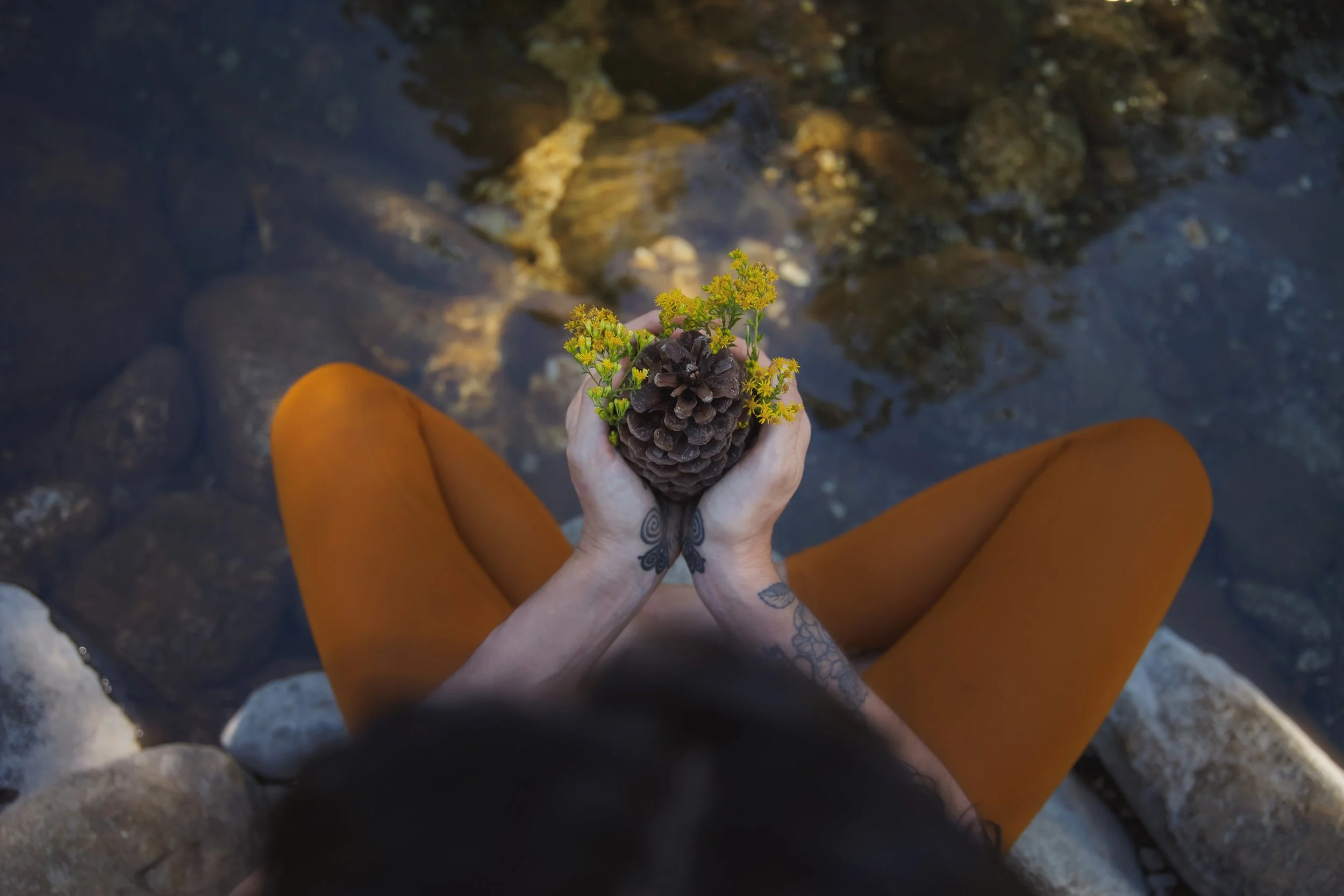 3-Night Digital Detox Weekend Package