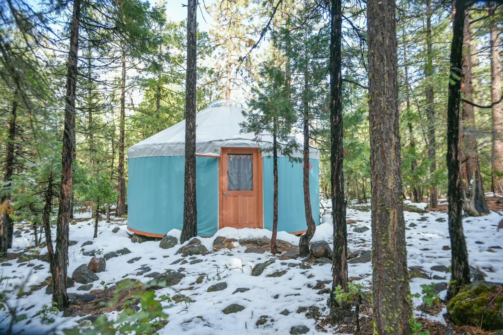 WhatsApp Image 2025-11-08 at 06.50.18.jpeg