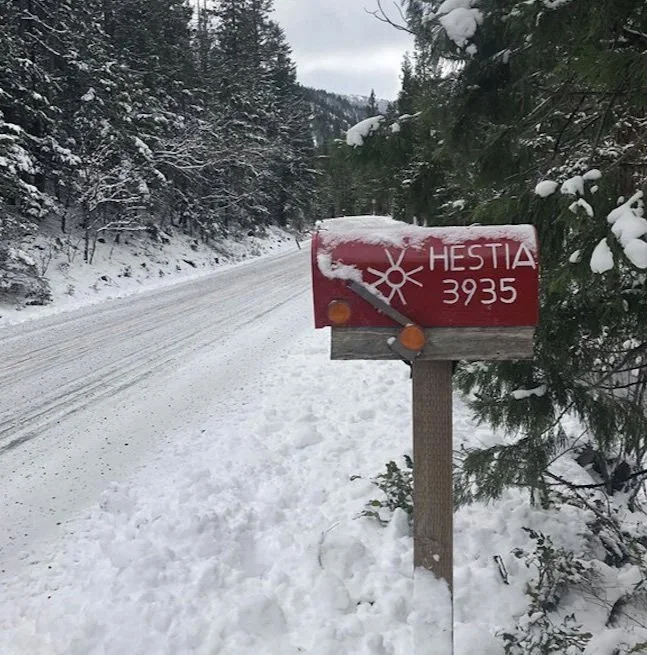 mountshastamailboxwintersnow.jpg