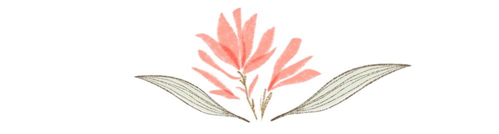 Mount Shasta winter wellness retreat with 40% off extended nature stay