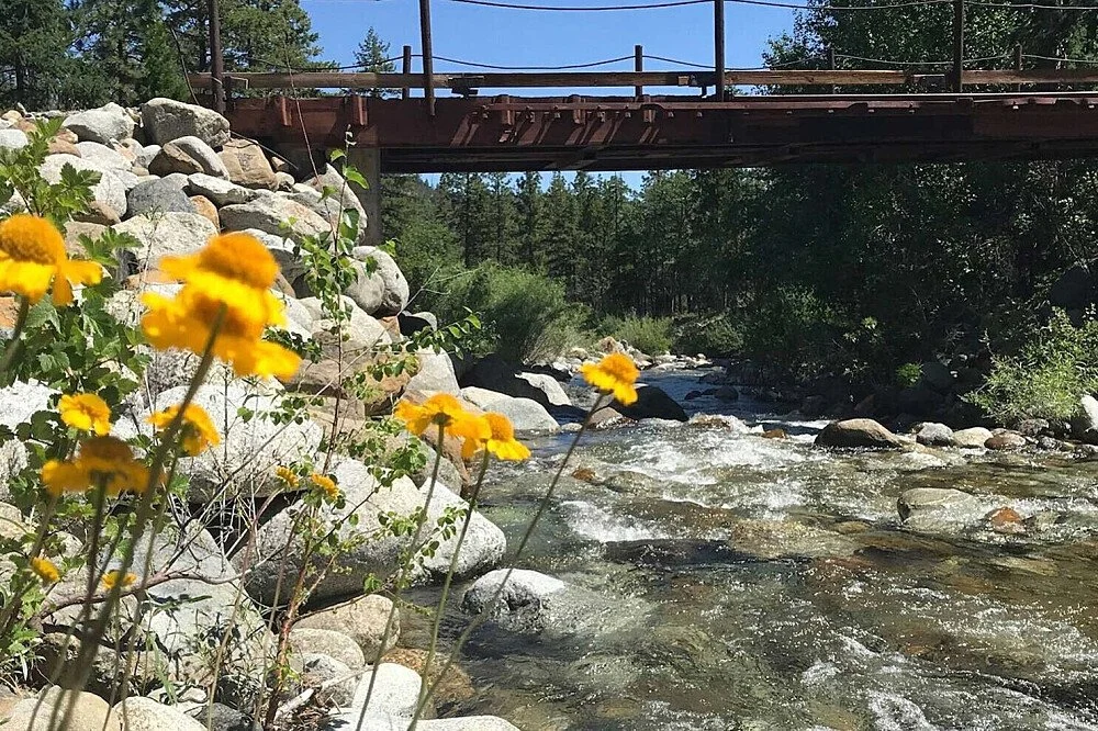 River and forest landscape at Hestia Magic in Mount Shasta reflecting the setting for extended nature stays