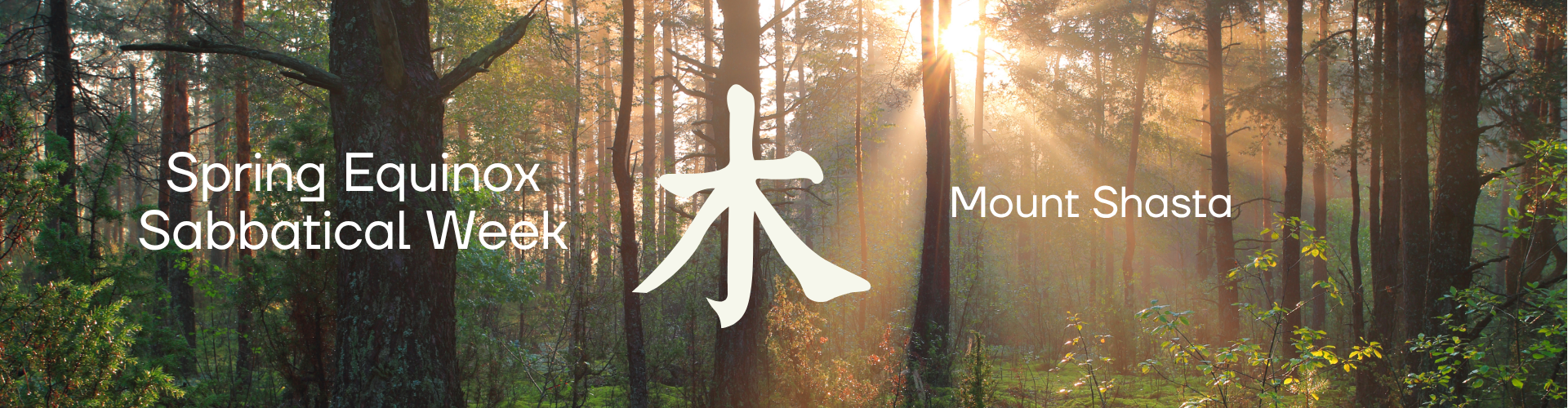 Spring Equinox Sabbatical Week in Mount Shasta with sunrise through forest trees