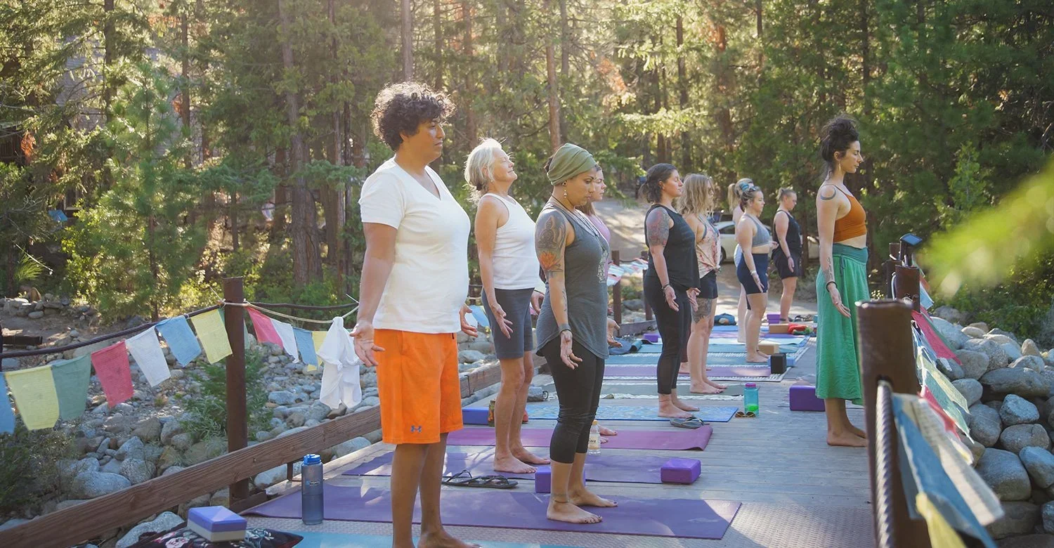 Group gathered in a forest setting at Hestia Magic for a private retreat experience in nature