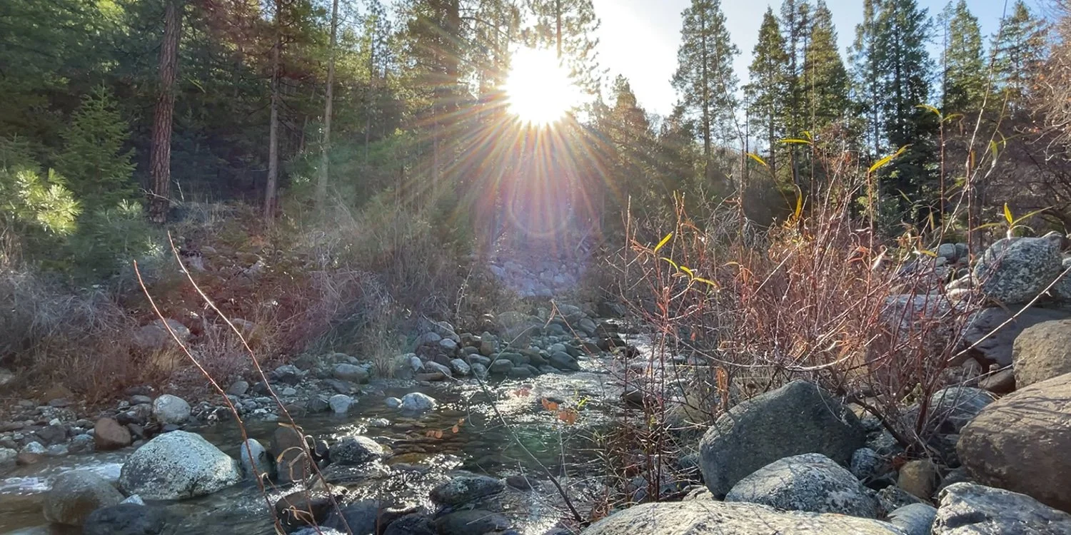 Spring Equinox: Date, Time & Significance | Hestiamagic