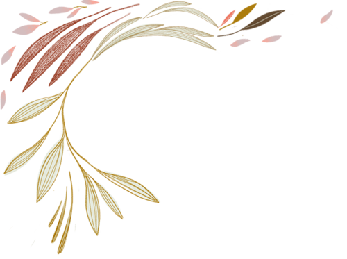 Hand-drawn botanical illustration with soft earthy leaves framing the Hestia Magic contact page.