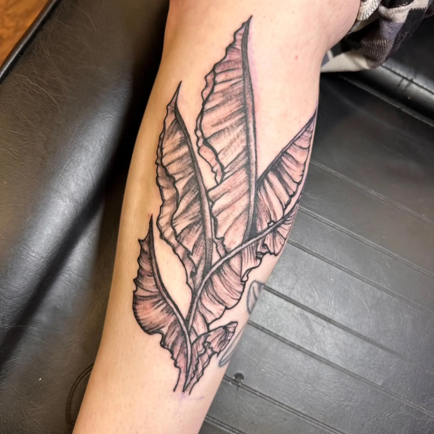 🍌🌿 Big thanks to Sam for stopping by and letting us bring this banana plant leg piece to life! 🖤✨ Nothing like a little botanical ink to keep things fresh.

Thinking about your own plant-inspired tattoo (or something completely different)? We&rsqu