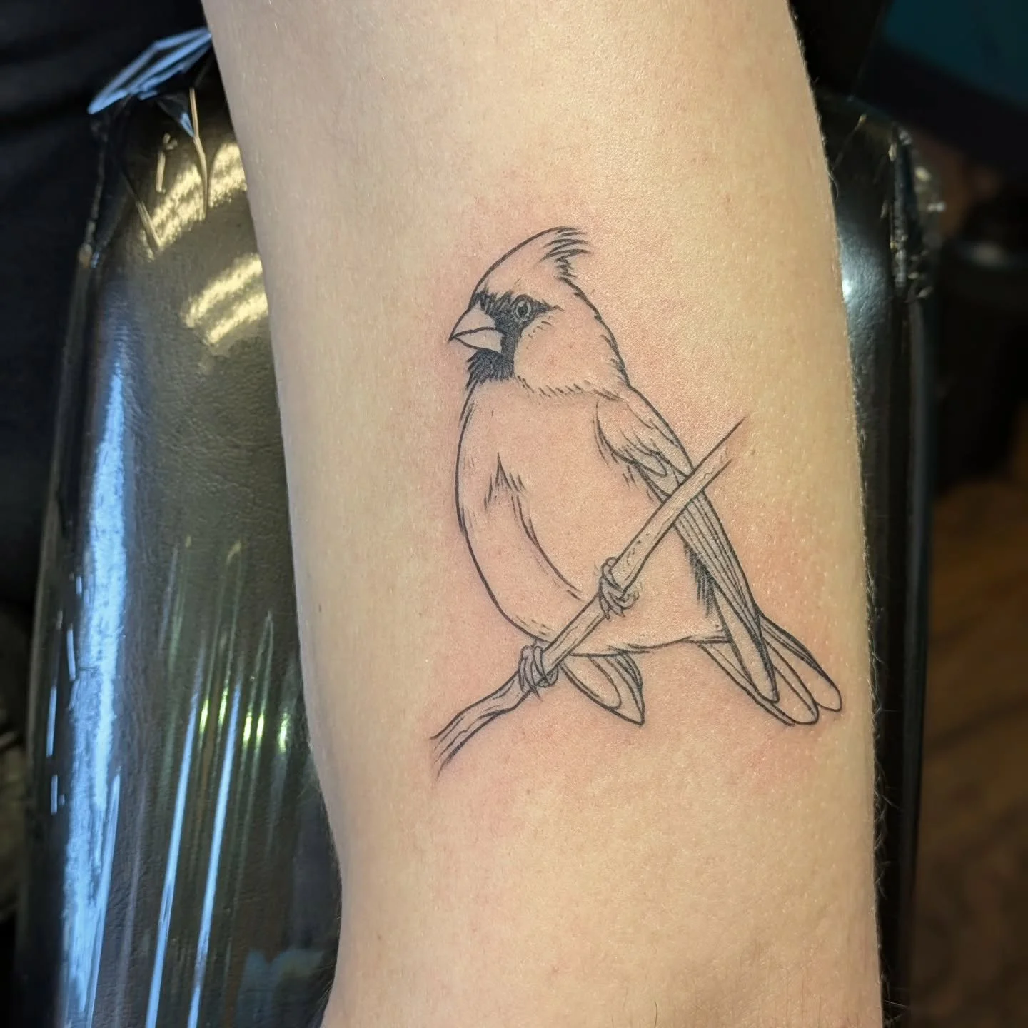 🖤🐦 We had a walk-in recently who left with an incredible black outline of a cardinal, tattooed by Rachel &mdash; simple, clean, and striking. ✨✍️

Whether you&rsquo;re after bold outlines, detailed linework, or something totally custom, we&rsquo;d 