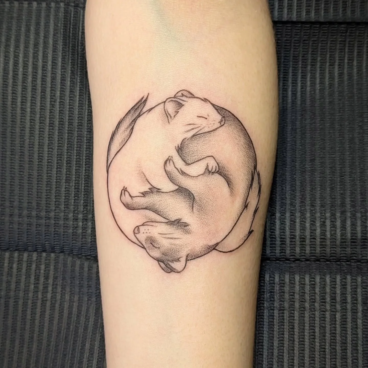 🖤🤍 Huge shoutout to Amanda, who got her first tattoo, a super fun yin-yang of ferrets by Rachel! 🌀🦦 The balance of playful and meaningful made this one extra special. ✨

If you&rsquo;ve been thinking about getting your first tattoo or want someth