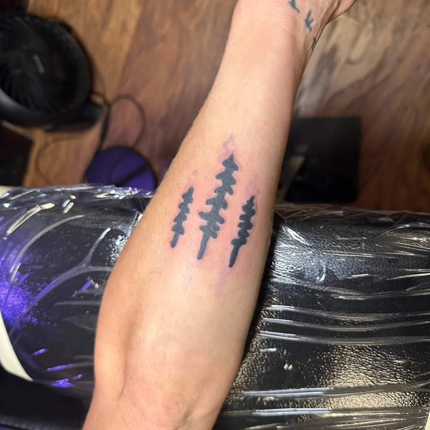 🌲✨ Fresh Ink! ✨🌲
We tattooed the cutest little trees on Jennifer today, each one simple, clean, and full of personality 🌲🖤

If you're interested in scheduling for this day, contact him at contact@roguepgh.com
.
We&rsquo;d love to get you in and c