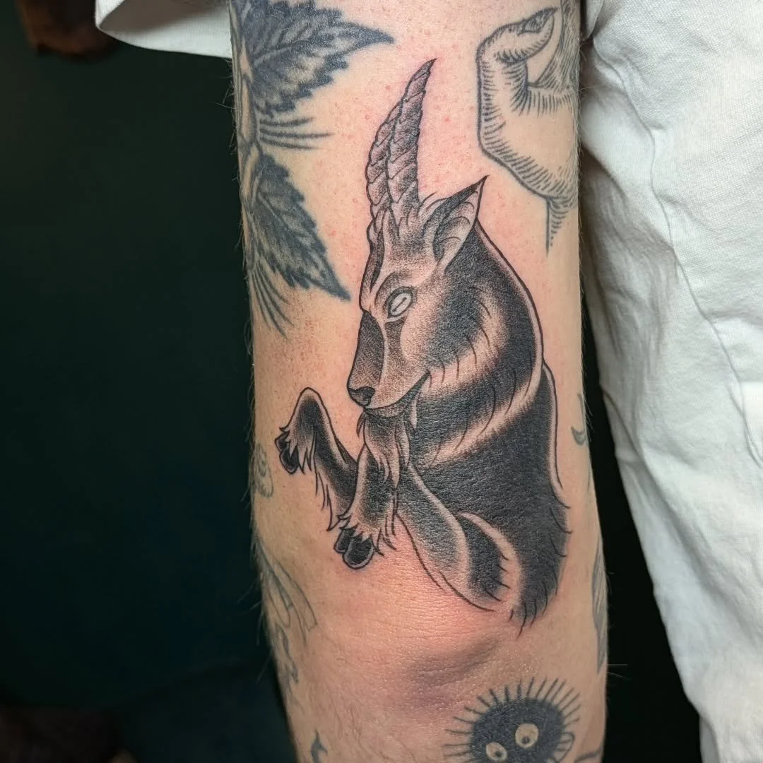 Adding some serious grit to the collection! 🐐⚔️

Rachel recently tattooed this striking goat piece for Alex. The bold black and grey shading and sharp details make this a standout addition, fitting perfectly among Alex's existing ink. Whether you're