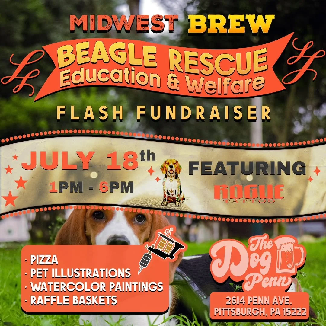 Get ready for a day of good vibes, great food, and giving back! We are teaming up for a Flash Fundraiser benefiting Midwest Brew Beagle Rescue, Education &amp; Welfare! 🐶✨

Come out to support an incredible cause, hang out with some awesome people, 