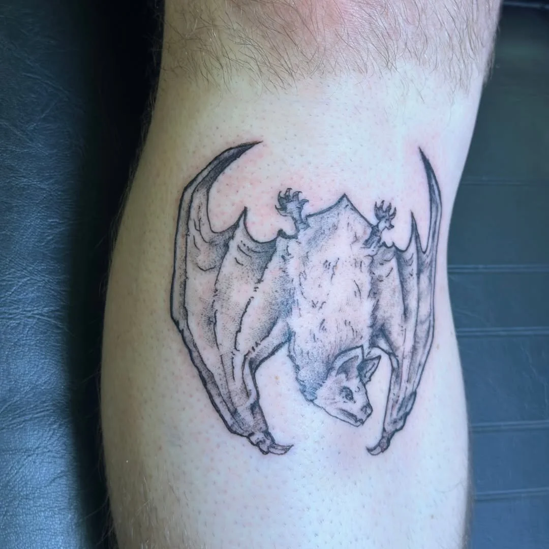 Kelly tattooed Aiden with this killer, detailed bat tattoo! With the unbelievable texture on display, this tiny mammal looks as if it could fly off at any moment. 🖤🌙

Whether you want to explore spooky imagery, delicate fine-line work, or a custom 