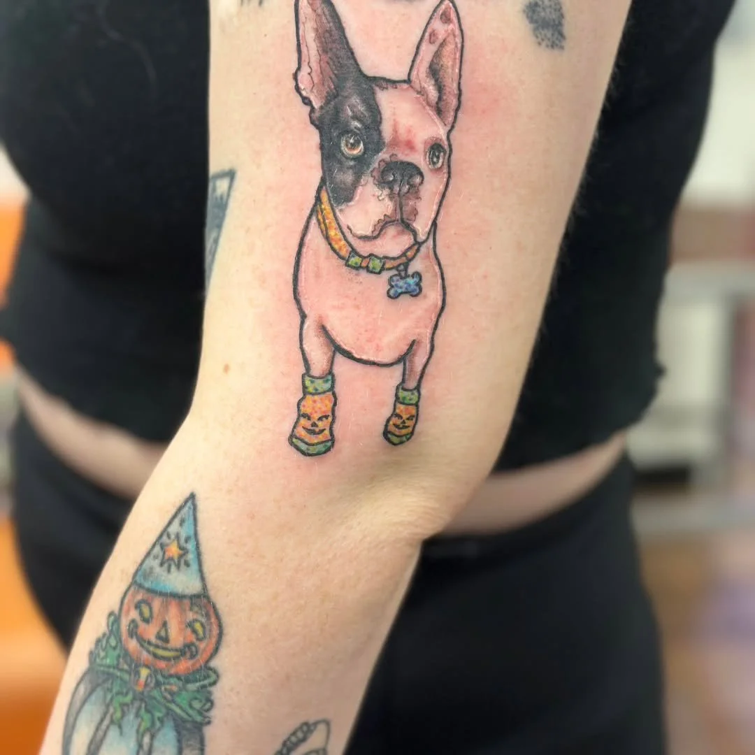 Kelly zapped Maddie with this absolutely adorable doggo wearing Halloween themed jack-o-lantern socks! This custom puppy portrait captures so much personality, with big expressive eyes and tiny festive pumpkin details on the front paws. It's another 