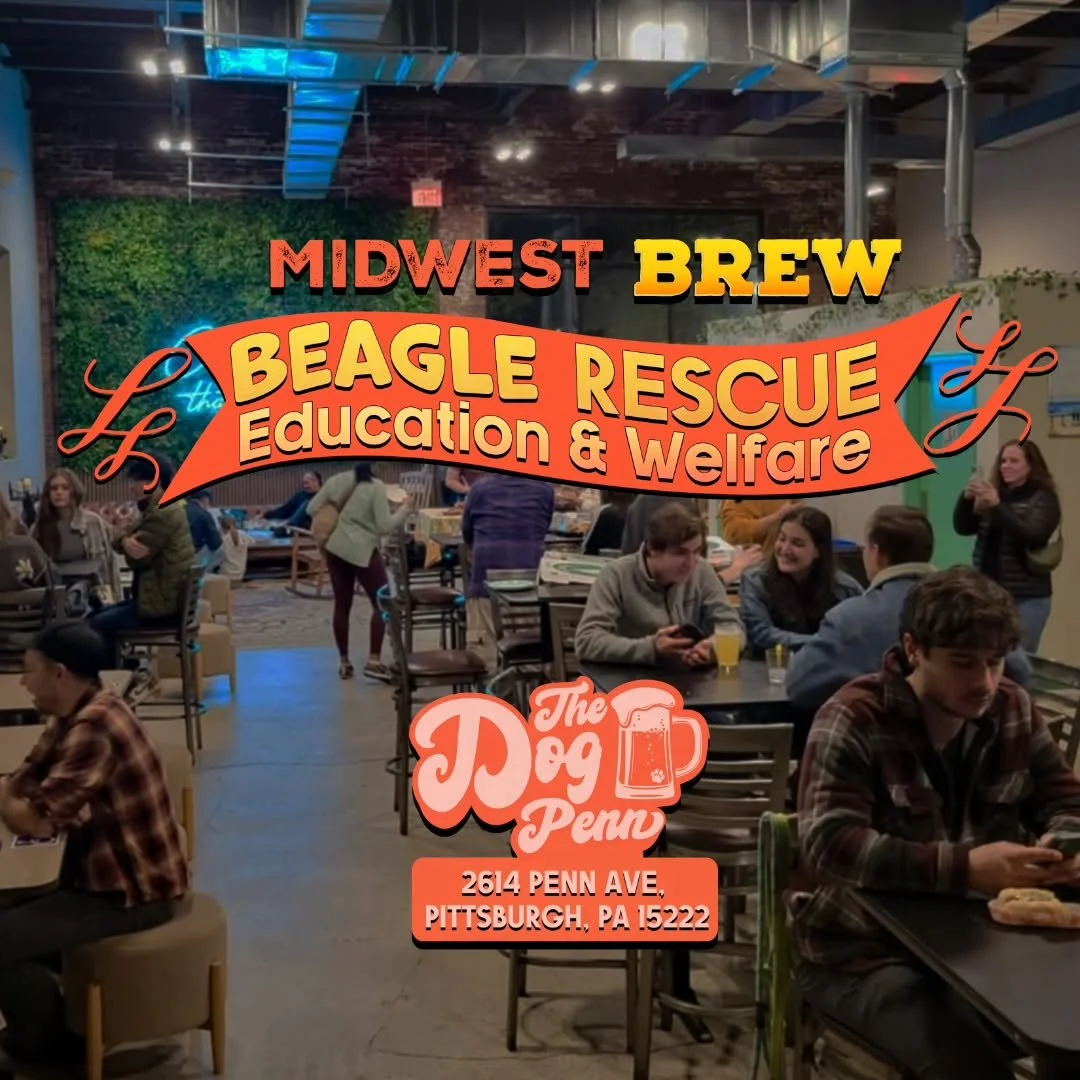 Thank yinz who came out today in support of the Midwest Beagle Rescue Education &amp; Welfare flash fundraiser! We are thrilled to be able to get out into the community and mingle, while showing off the things we do best! Look for us next at City Boo