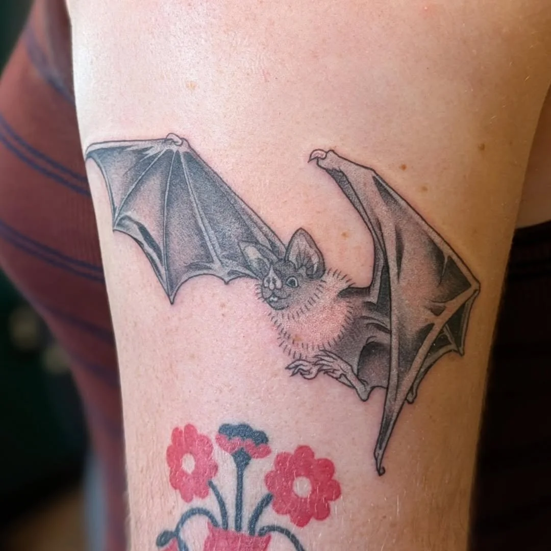 Taking flight with some fine-line precision! 🦇✨

Here is another lovely bit of ink that Rachel zapped during the summer. An incredibly detailed fine-line blackwork bat! From the delicate wings to the soft fur texture around its neck, this adorable f