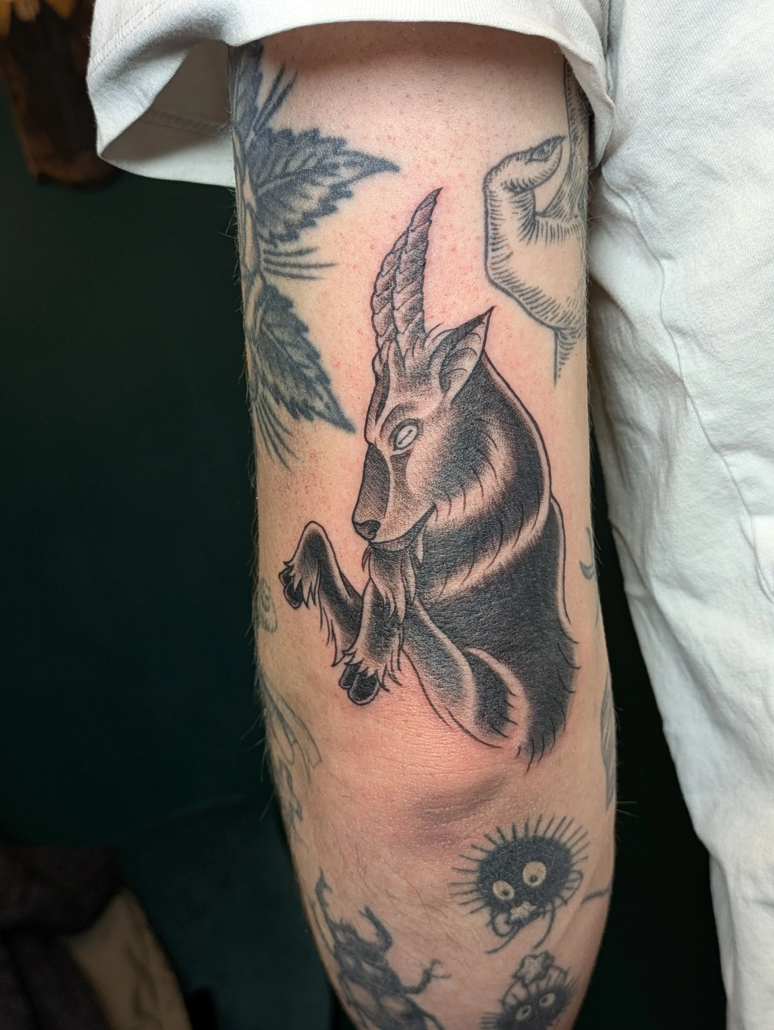 Blackwork Goat