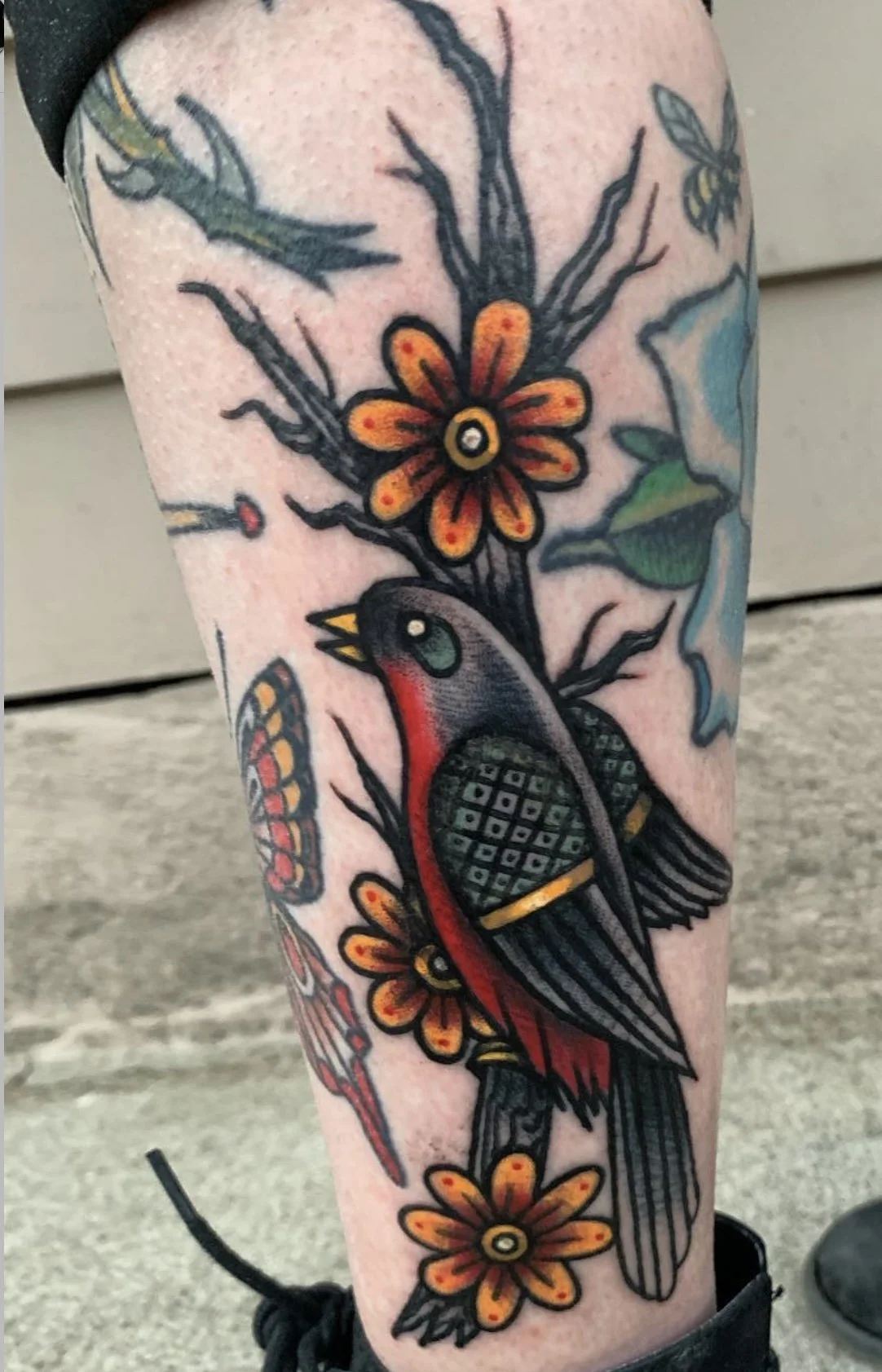 Colorful Traditional Bird