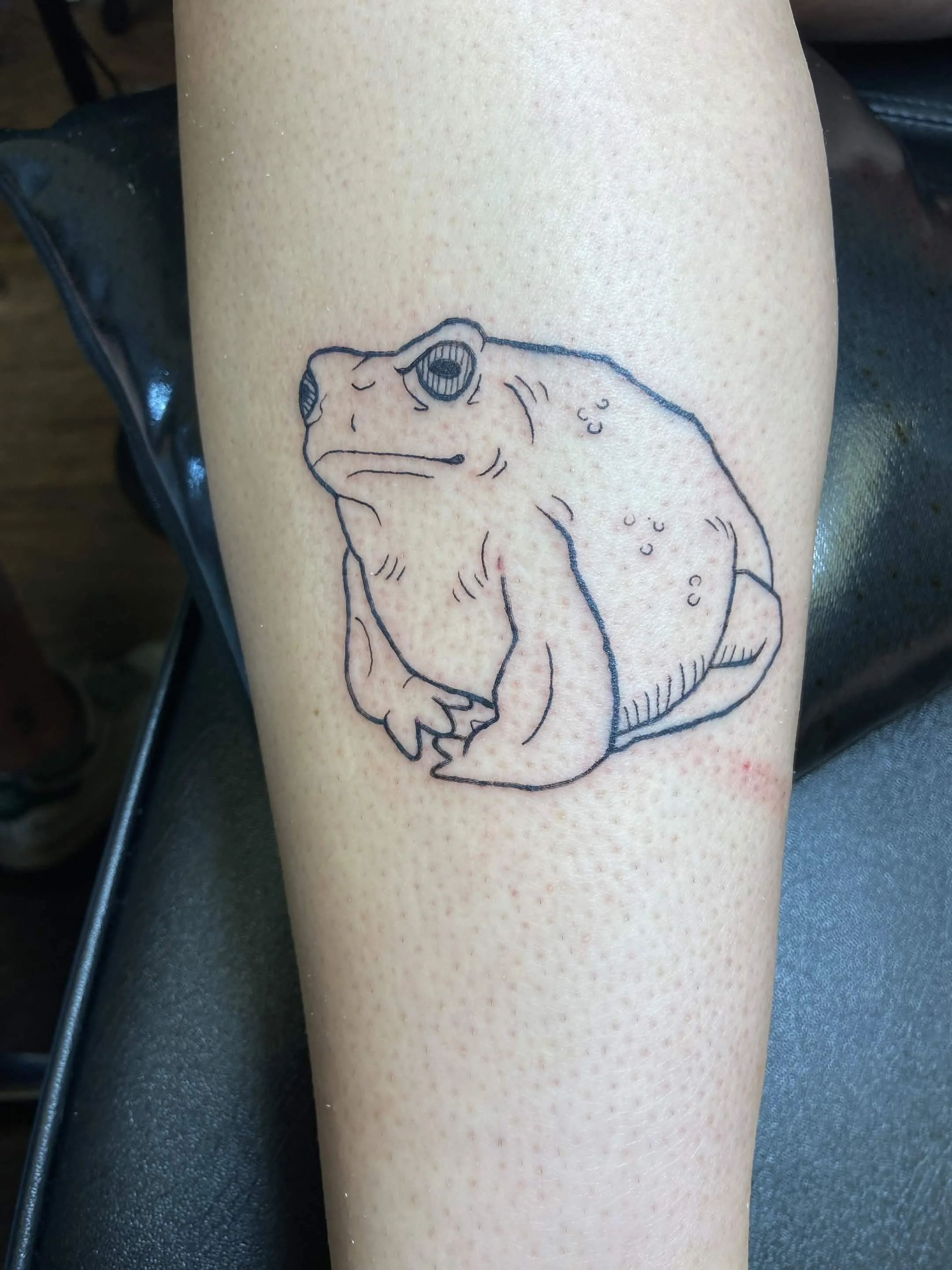 A black outline of a frog