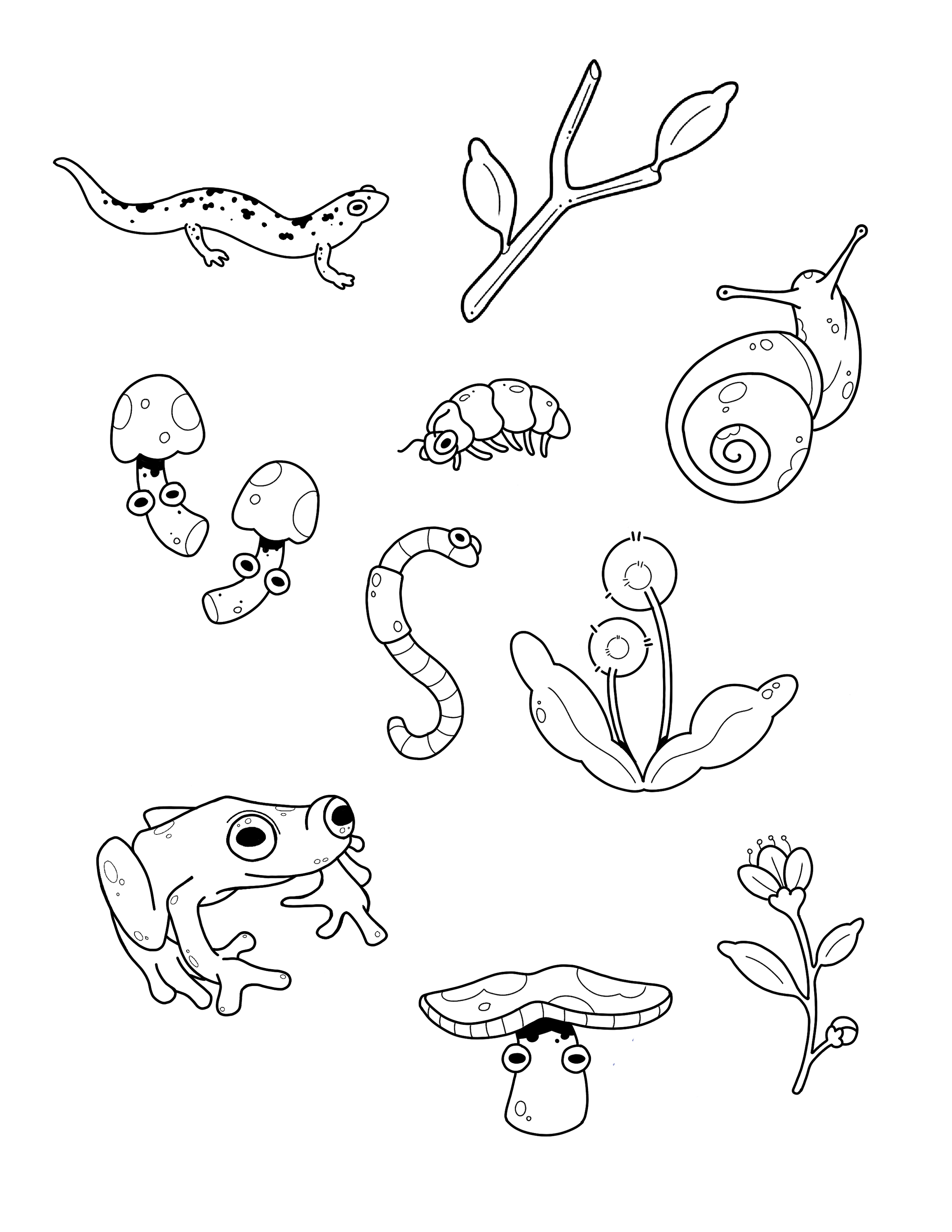Friday Flash Sheet Outlines